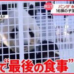 【和歌山のパンダ】3頭中国に返還へ　16頭の子宝“ビッグパパ”