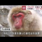 “最高齢”のボスザル「中松」　35歳で死ぬ　札幌・円山動物園(2023年2月3日)
