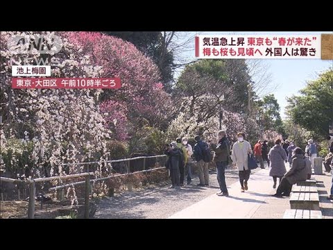 【気温急上昇】“4月の陽気”で出産ラッシュ!?　梅も桜も見頃へ(2023年2月27日)