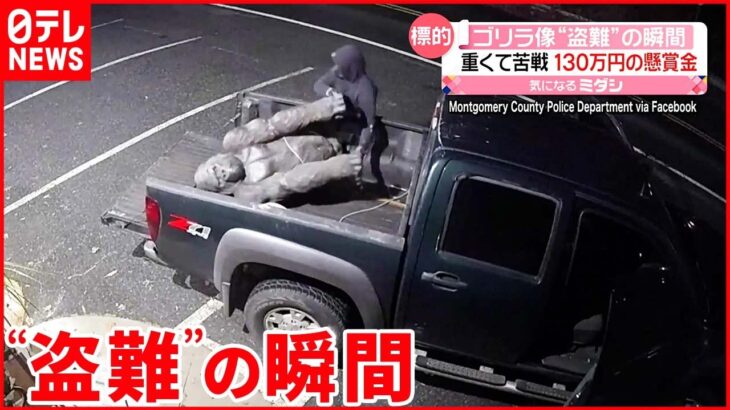 【ゴリラ像“盗難”】カメラに犯行の一部始終…重くて苦戦も アメリカ