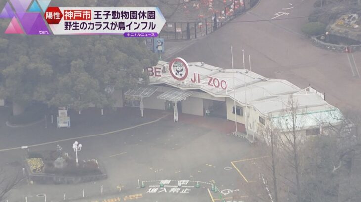 野生カラスの死骸から鳥インフル、王子動物園が当面臨時休園　飼育する鳥への感染疑いは今のところなし