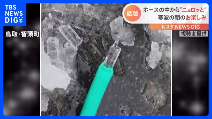 「氷の子どもが生まれた」各地で“ホース氷”！さらにまさかの場所からビッグな氷が！？｜TBS NEWS DIG