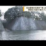 名古屋城の石垣が“真っ白”に　原因は「鳥のフン」(2023年2月3日)