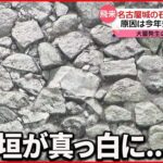【名古屋城】石垣が真っ白に… 大群が飛来する理由は“近くの川”に？