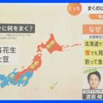 節分の豆まきは大豆？落花生？それとも豆まきはしない？ 節分のちょっと変わった風習を調査｜TBS NEWS DIG