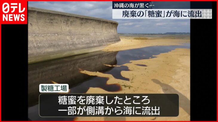 【製糖工場から大量の糖蜜流出】漁業や海洋環境影響へ懸念も　沖縄・伊是名島