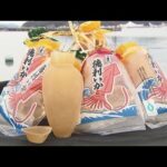 スルメイカを乾燥させて徳利の形にした「徳利いか」の製造が、京都府宮津市で最盛期　熱燗の酒を注ぐと、イカの風味が加わる