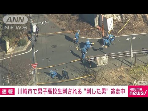 【速報】川崎市の路上で男子高校生が頭を刺される　刺した人物は逃走中　神奈川県警(2023年2月6日)