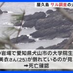 屋久島でサルの調査していた大学院生の女性が死亡　海岸で倒れているのが見つかる　遺体には複数のすり傷｜TBS NEWS DIG