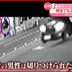 【男を逮捕】連続“切りつけ”か？ 川口市と横浜市の防犯カメラに“似た人物”の姿