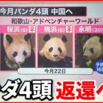 【お別れ】“上野生まれ”シャンシャンなどパンダ4頭が返還へ