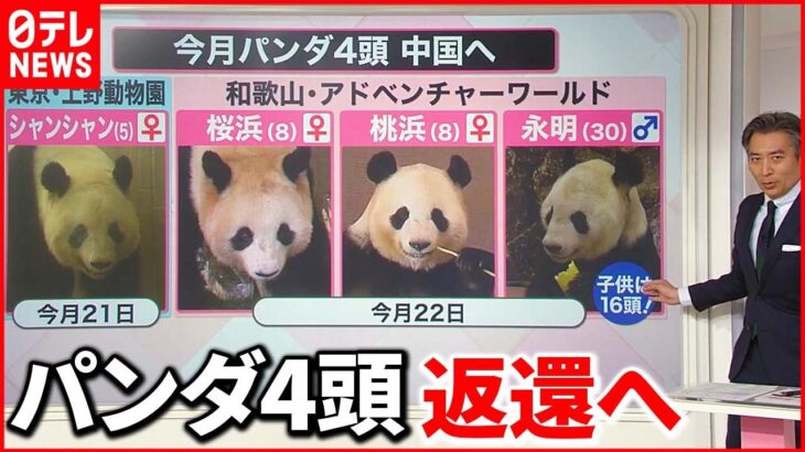 【お別れ】“上野生まれ”シャンシャンなどパンダ4頭が返還へ