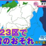 【雪まとめ】東京で大雪の可能性は…/首都高　一部で通行止めの可能性/“塊”の落下防ぐ　東京スカイツリーの落雪対策　など（日テレNEWS LIVE）