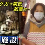 【動物虐待】『くさい』『やかましい』トラブル度々の悪質ブリーダー「病気の犬放置」容疑で逮捕…地獄の繁殖施設『小さなケージ』『３０℃超の室内』『放置されたフン』