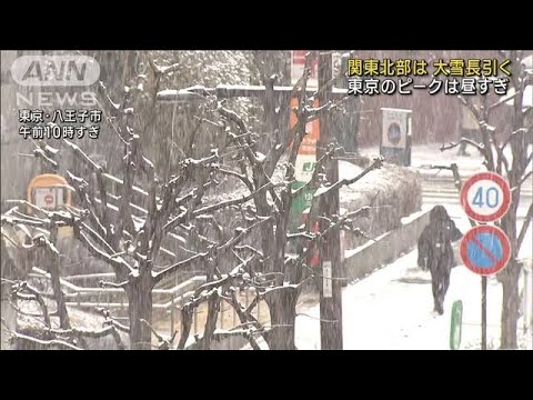 関東北部 大雪が長引く恐れ　東京のピークは昼すぎ(2023年2月10日)