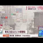 東京・多摩地方などに大雪警報　“今季最大積雪”で生活に影響は　倒木で電車遅延も(2023年2月10日)