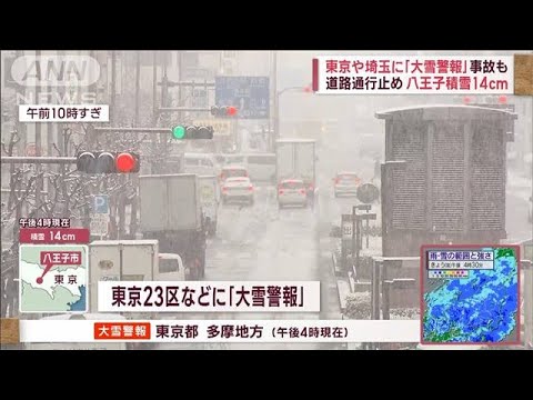 東京・多摩地方などに大雪警報　“今季最大積雪”で生活に影響は　倒木で電車遅延も(2023年2月10日)