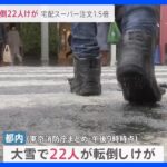 雪に不慣れな東京　転倒でけが人も　「出かけたくない」宅配スーパーは注文1.5倍に【news23】｜TBS NEWS DIG