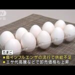 鳥インフルエンザが影響　卵が不足で一部販売休止(2023年2月11日)