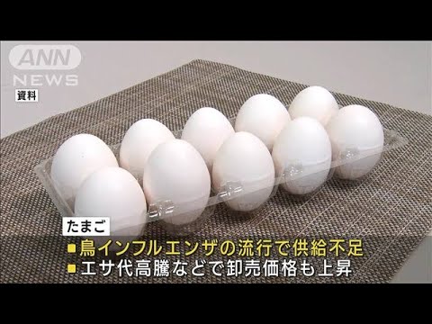 鳥インフルエンザが影響　卵が不足で一部販売休止(2023年2月11日)