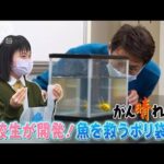 【松岡修造のみんながん晴れ】高校生が開発！！魚を救うポリ袋(2023年2月11日)