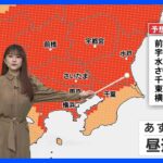 東京都心すっきり晴れるも足元には注意を　あすも朝から晴れに　今日の天気・明日の天気・週間天気【気象予報士解説】｜TBS NEWS DIG