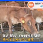 「経営全く成り立たない」酪農家が悲痛な訴え　牛乳余りで値上げもできず北海道では生乳廃棄も｜TBS NEWS DIG