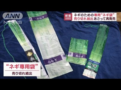 「すごい便利」“ネギ専用袋”が人気　売り切れ続出で再発売へ(2023年2月14日)