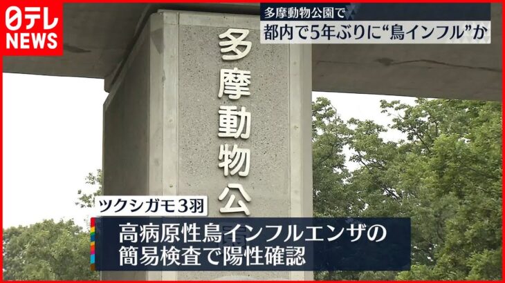 【多摩動物公園】飼育のカモが鳥インフル疑い 陽性確定なら都内では5年ぶり