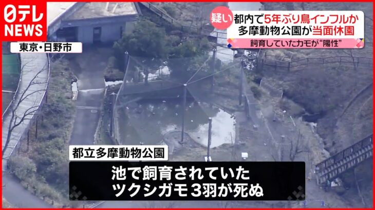 【当面休園へ】多摩動物公園で鳥インフルエンザ疑い 確定すれば都内で5年ぶり