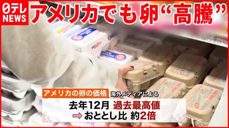 【“エッグフレーション”】アメリカでも卵が高騰 1パック600円に… 香港では日本の卵ブーム