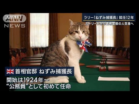 ストリートから首相官邸の人気者へ“毒舌”光る「ネズミ捕獲長」ネコのラリー就任12年(2023年2月15日)