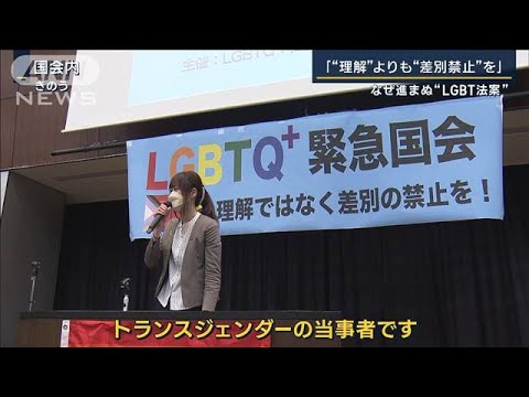 【報ステ解説】「理解より“差別禁止”を」進まぬ“LGBT法案”ボトルネックは？(2023年2月15日)