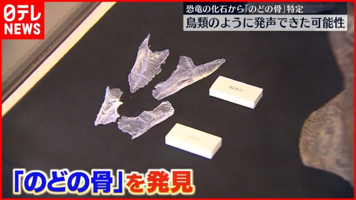 【世界初「のどの骨」特定】恐竜は鳥のように発声できた? 福島県立博物館の学芸員ら日米研究グループ発表