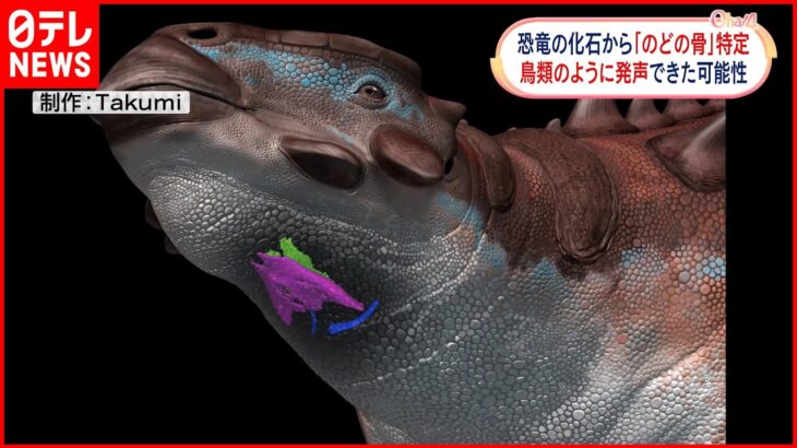 【世界初】恐竜の化石から「のどの骨」特定 鳥のように発声できた?