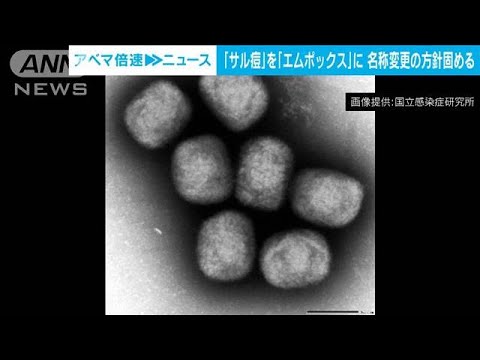 「サル痘」の名称を「エムポックス」への変更方針固まる　厚労省の専門部会(2023年2月17日)