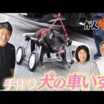 【松岡修造のみんながん晴れ】犬も飼い主も笑顔になる“車いす”(2023年2月18日)