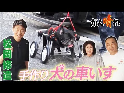 【松岡修造のみんながん晴れ】犬も飼い主も笑顔になる“車いす”(2023年2月18日)