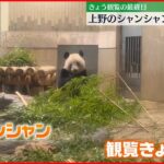【中国に返還】上野動物園のシャンシャン　多くの人が名残惜しむ　観覧最終日