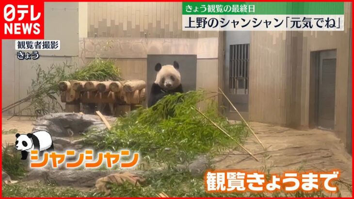 【中国に返還】上野動物園のシャンシャン　多くの人が名残惜しむ　観覧最終日