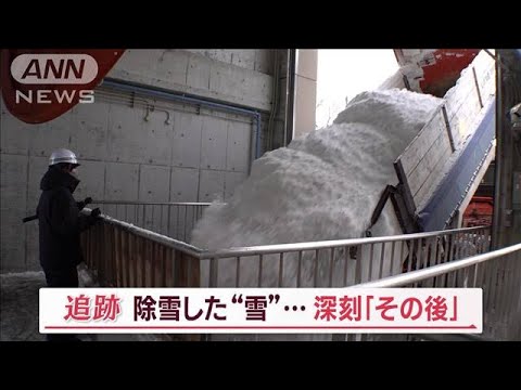 除雪後の「雪」　深刻な「その後」　北海道ならでは“処理方法”…“マンゴー栽培”も【Jの追跡】(2023年2月19日)