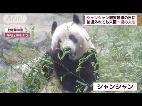 シャンシャンへ「上野を忘れないでね」シャッター閉じ涙のお別れ(2023年2月19日)