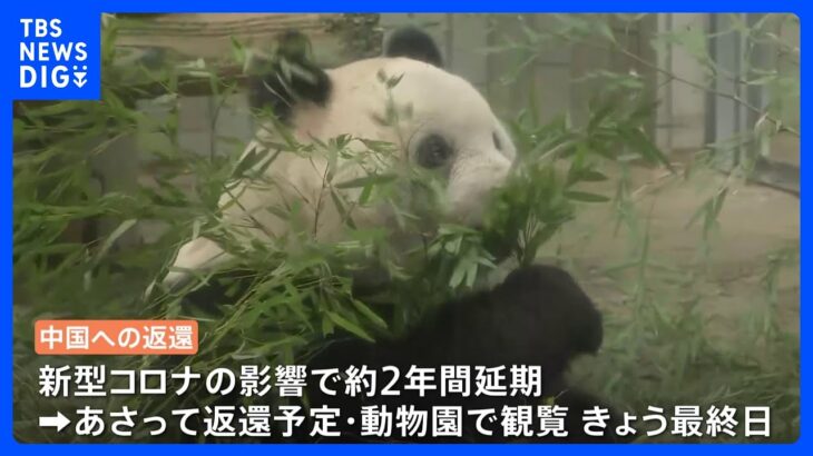 「シャンシャンなしでは生きられないかも」上野動物園の観覧最終日に大勢の来園者　涙ぐむ人も｜TBS NEWS DIG