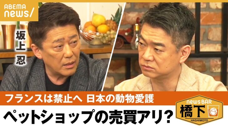 【動物愛護】「先進国で一番恥ずかしい国」動物保護”後進国”？日本の現状 坂上忍×橋下徹｜NewsBAR橋下