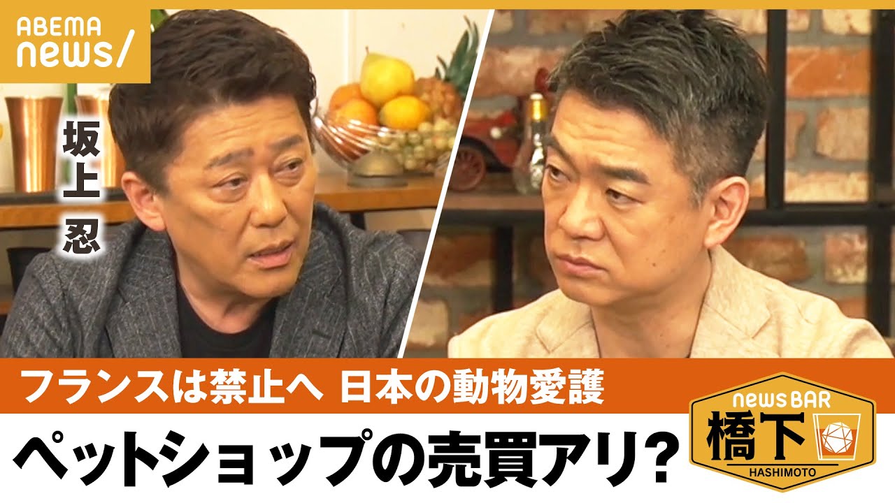 【動物愛護】「先進国で一番恥ずかしい国」動物保護”後進国”？日本の現状 坂上忍×橋下徹｜NewsBAR橋下