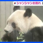 「ありがとうといってらっしゃい」上野動物園の「シャンシャン」あす中国に返還　観覧最終日に大勢の来園者｜TBS NEWS DIG