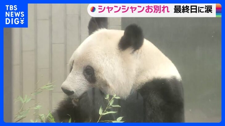 「ありがとうといってらっしゃい」上野動物園の「シャンシャン」あす中国に返還　観覧最終日に大勢の来園者｜TBS NEWS DIG