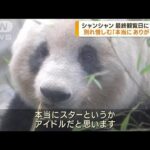 上野動物園のシャンシャン　最終観覧日で別れ惜しむ(2023年2月20日)