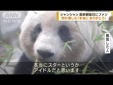 上野動物園のシャンシャン　最終観覧日で別れ惜しむ(2023年2月20日)