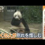 上野動物園の「シャンシャン」　観覧最終日で応募総数“6万人以上”　多くの惜しむ声(2023年2月20日)